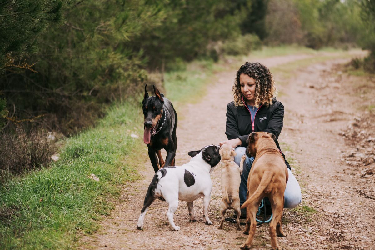 Mujer agachada con perros en un camino del bosque